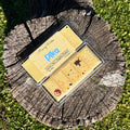 Pika Wax Melt Bar – Poké
