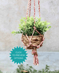 Saree Plant Hanger | Assorted
